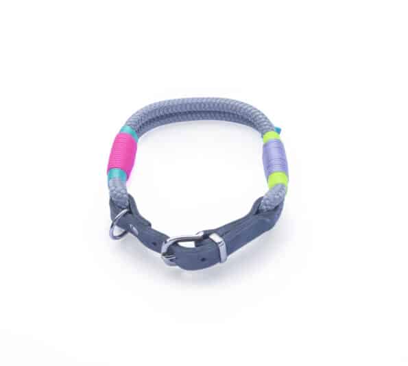Hund Neon Grey Halsband