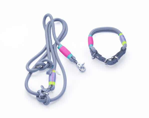 Hund Neon Grey Halsband + Leine