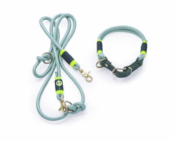 Hund Ocean Halsband + Leine